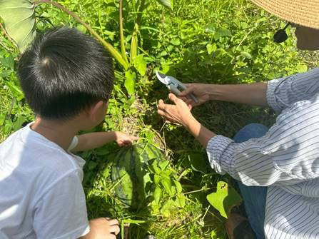 親子農耕樂