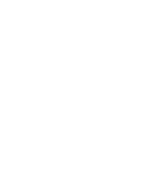 Promise Debt Consolidation Loan